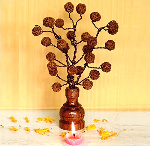 Rudraksha Bouquet-5 Face Rudraksh-Natural-27 Beads