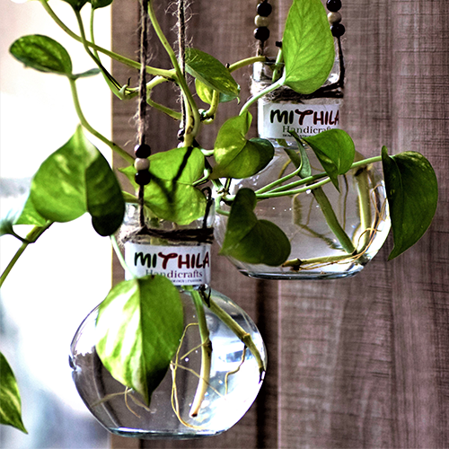 Mithilashri Round Glass Vase - Small - Hanging - Set of 2 - 12X10 Cm