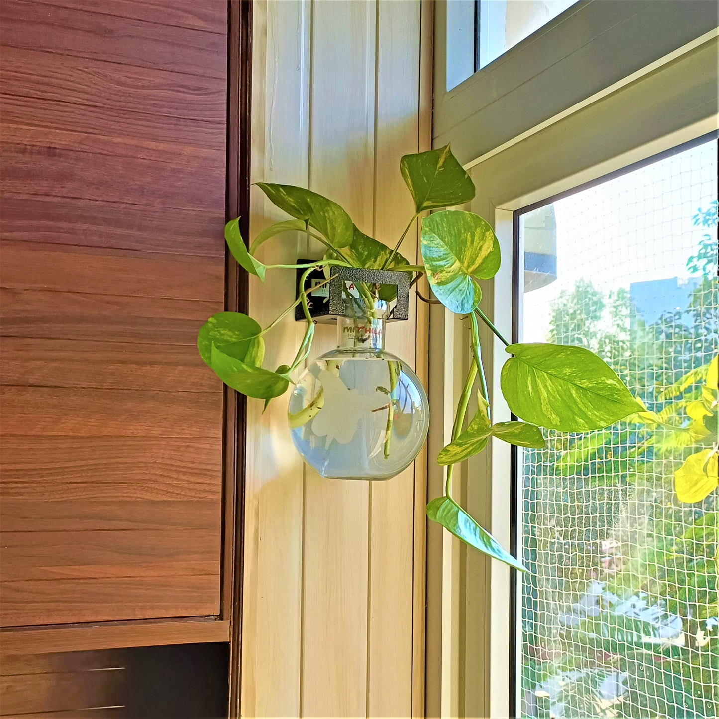 Round Glass Vase Large Butterfly With Iron Hanger - 20X16 Cm