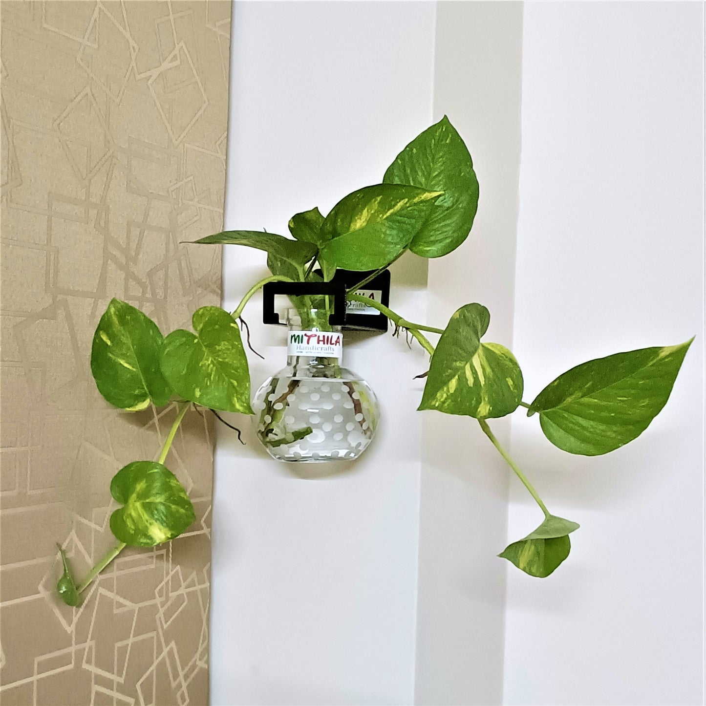 Round Glass Vase Polka Dots With Iron Hanger Stand Small - 12X10 Cm