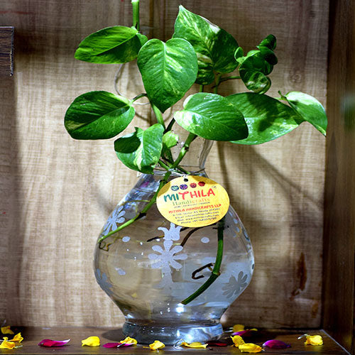 Mithilashri Oval Glass Vase - 24X15 Cm