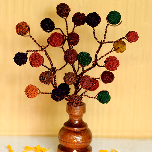 Rudraksha Bouquet-5 Face Rudraksh-Multi Colour-27 Beads