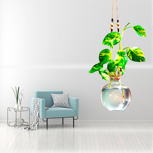 Mithilashri Round Glass Vase  with Jute Rope Hanging And Wall Hanger for Money Plant Lucky Bamboo Plant | Elagant Ball Shaped Vase | Flower Pot | Clear 20*16CM