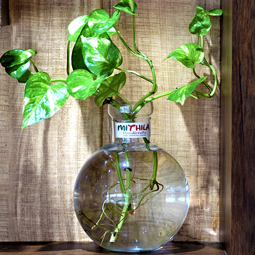 Round Glass Vase - Large - 20X16 Cm