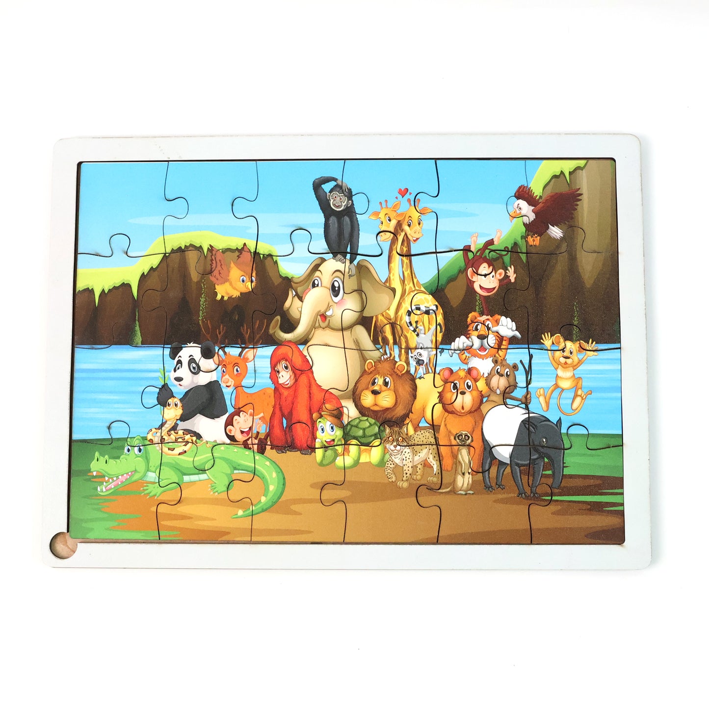 Educational Wooden Jigsaw Puzzle Board - (Mix Design  1 Pc)
