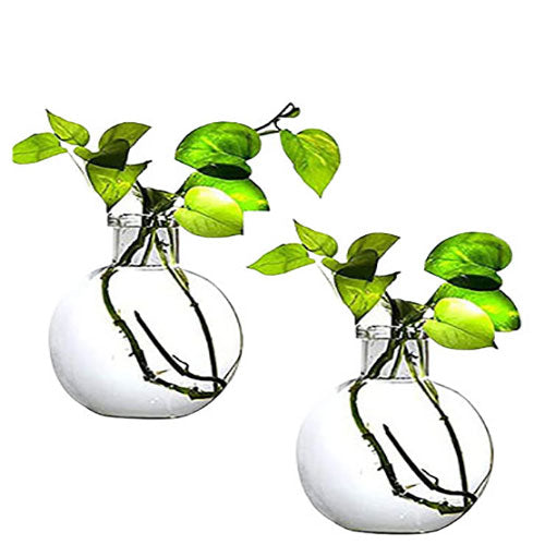 Round Glass Vase - Large - Set of 2 - 20X16 Cm