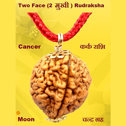 Two Face(Do-Mukhi) Rudraksha