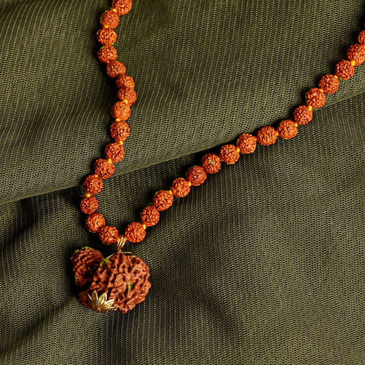 Garbh Gauri Rudraksha Original Lab certified | Garbh gauri rudraksha | Lab certified rudraksha