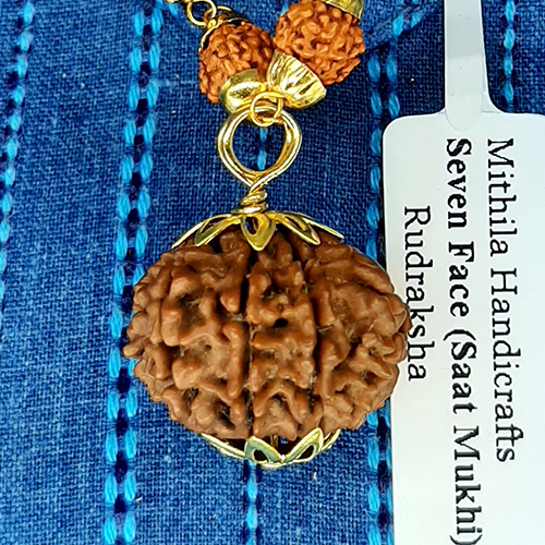 Seven Face(Saat-Mukhi) Rudraksha