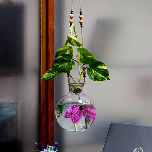 Round Color Hanging Glass Vase 20X16 cm With Iron L Shape hanger for Money Plant  Lucky Bamboo Plant Elegant Flower Designed Vase | Flower Pot | Clear 20X16 cm