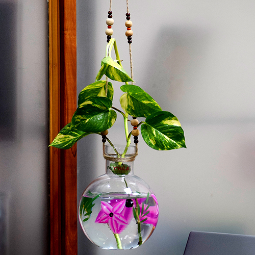 Round Color Hanging Glass Vase 20X16 cm With Iron L Shape hanger for Money Plant  Lucky Bamboo Plant Elegant Flower Designed Vase | Flower Pot | Clear 20X16 cm