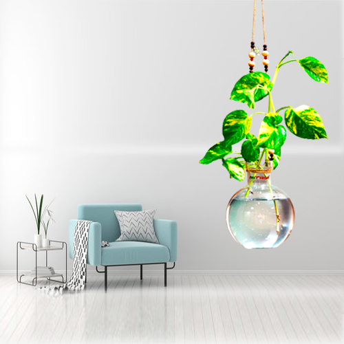 Round Glass Vase  with Jute Rope Hanging And Wall Hanger for Money Plant Lucky Bamboo Plant | Elagant Ball Shaped Vase | Flower Pot | Clear 20*16CM