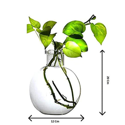 Round Glass Vase  with Jute Rope Hanging And Wall Hanger for Money Plant Lucky Bamboo Plant | Elagant Ball Shaped Vase | Flower Pot | Clear 20*16CM